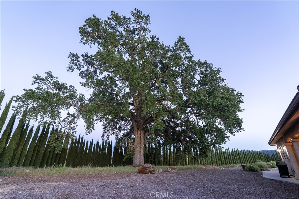 https://media.crmls.org/medias/17904a63-de37-4754-b730-c6f338c4f0d7.jpg?preset=X-Large