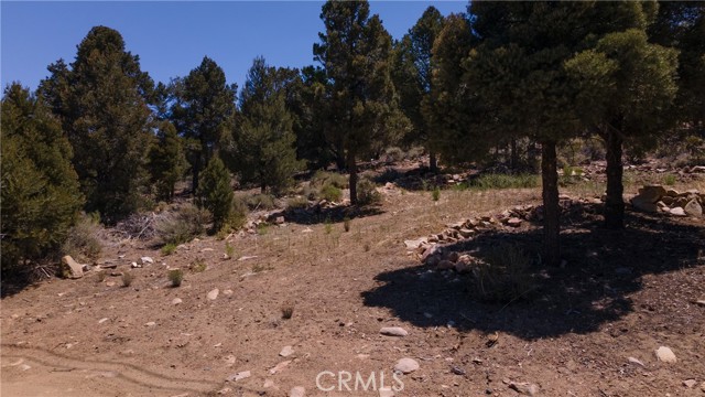 0 Upland, Big Bear City CA: https://media.crmls.org/medias/1790874b-6135-47aa-b1eb-49bf3ab009dc.jpg