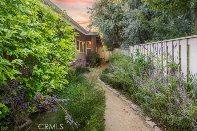 Side Yard