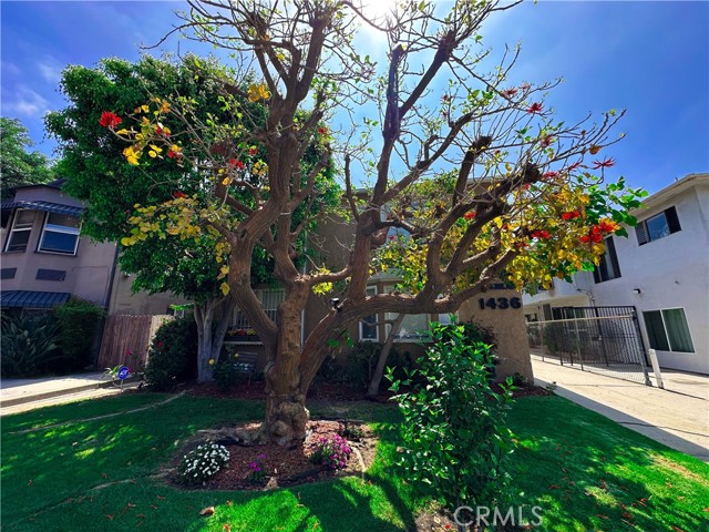 1436 S Holt Avenue, Los Angeles CA: https://media.crmls.org/medias/1795d67b-1472-4efa-9008-5b7a61c376d2.jpg