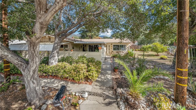 Front Image Thumbnail for CRSR26033883