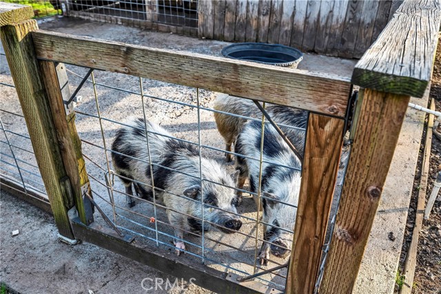 Detail Gallery Image 27 of 49 For 5963 Eickhoff Rd, Lakeport,  CA 95453 - 4 Beds | 2 Baths