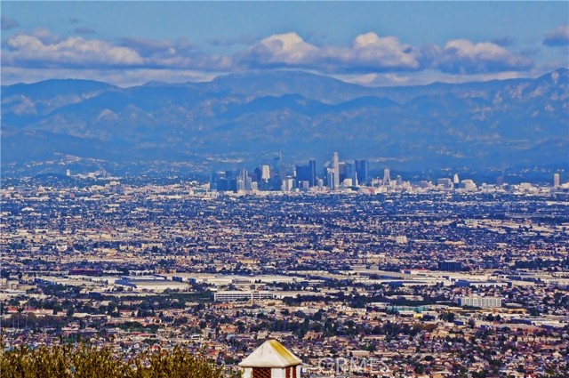 Closeup of downtown Los Angeles from the backyard