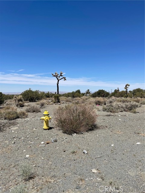 0 Coyote, Pinon Hills, CA, 92372 0 Coyote, Pinon Hills, CA, 92372