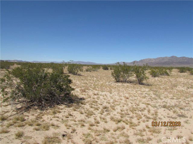 Detail Gallery Image 7 of 9 For 42 Amboy, Twentynine Palms,  CA 92277 - – Beds | – Baths