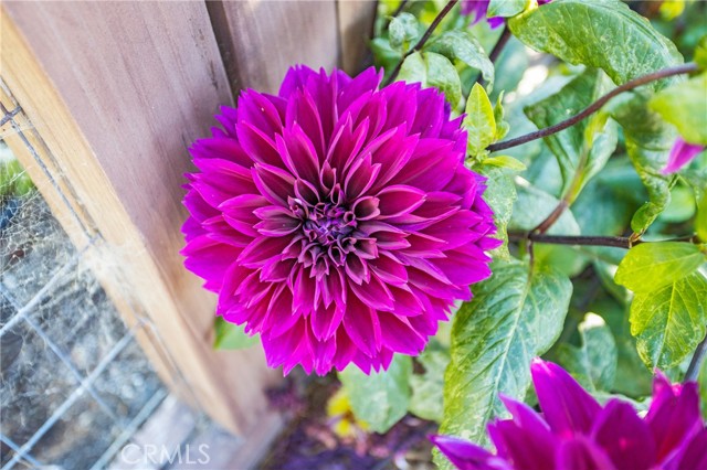 Lush gardens in the most moderate climate.