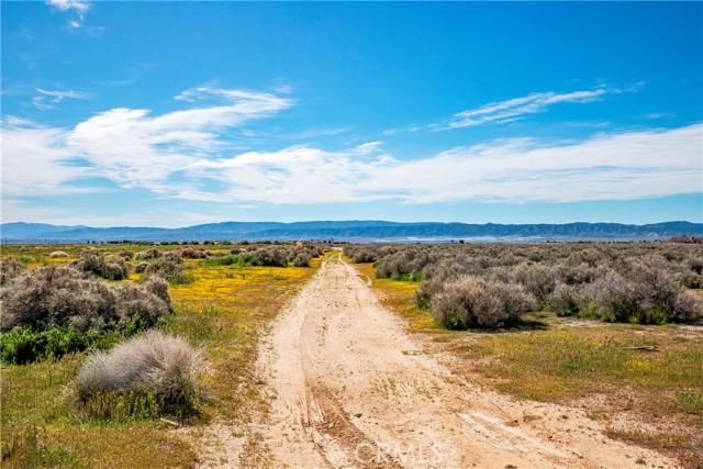 Detail Gallery Image 10 of 12 For 0 Avenue C-8, Antelope Acres,  CA 93536 - – Beds | – Baths