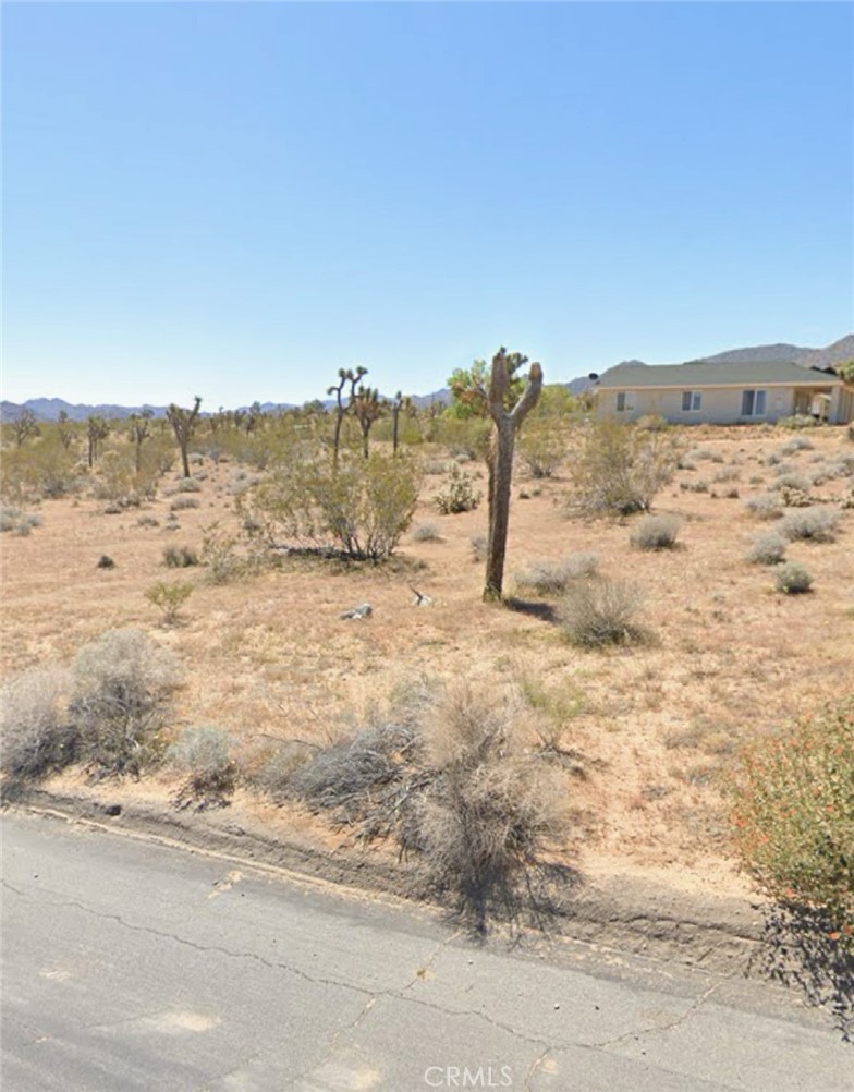 MLS #WS25024546 image #7