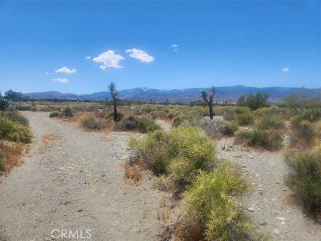 Detail Gallery Image 1 of 8 For 0 Minero Rd, Pinon Hills,  CA 92372 - – Beds | – Baths