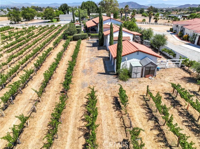 Detail Gallery Image 4 of 35 For 33735 Madera De Playa, Temecula,  CA 92592 - 3 Beds | 2/1 Baths