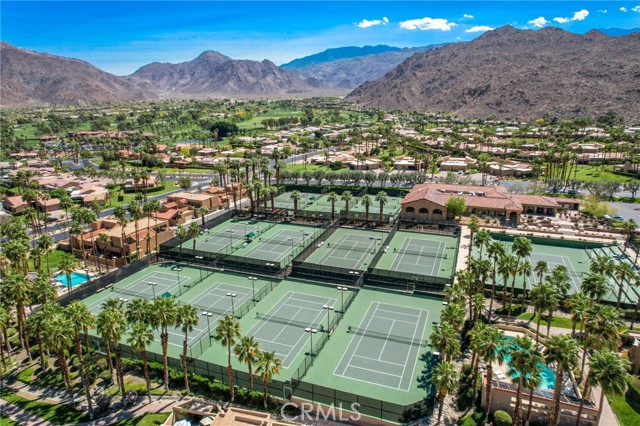 Image 41 of 45 For 73575 Encelia