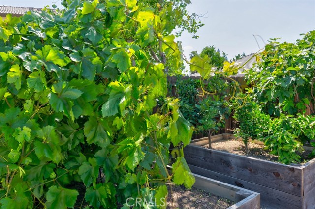 3559 Sunstone Court, Merced CA: https://media.crmls.org/medias/17c71eb5-946b-46ea-810b-5197a7f61012.jpg