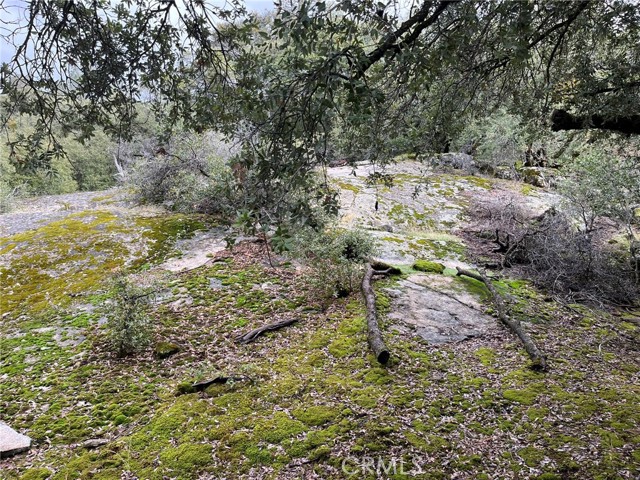 Detail Gallery Image 6 of 12 For 0 Jean Rd, Oakhurst,  CA 93644 - – Beds | – Baths