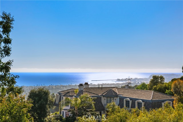 Detail Gallery Image 42 of 44 For 53 Marbella, San Clemente,  CA 92673 - 5 Beds | 5 Baths