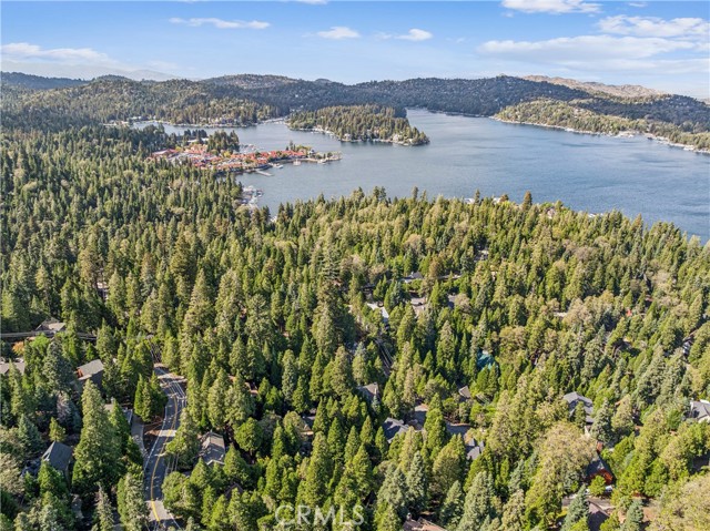28565 Shenandoah Drive, Lake Arrowhead, CA 92352