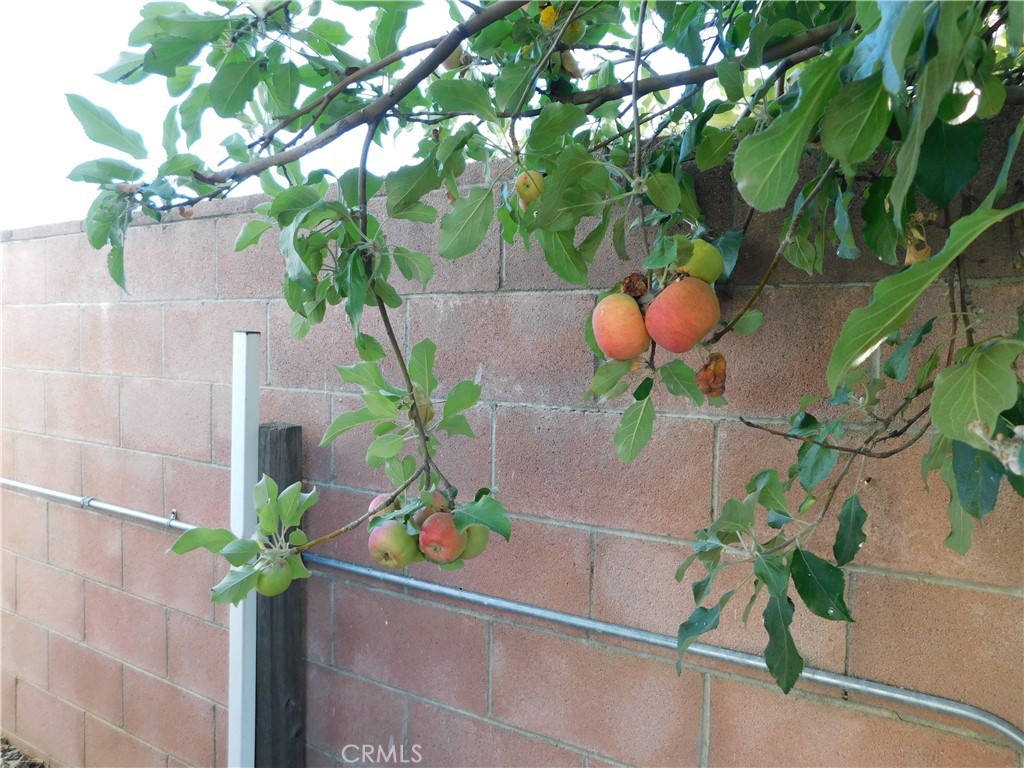 MLS #IG25254181 image #44