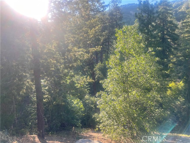 3300330 Elder Drive, Cedar Glen, California 92321, ,Land,For Sale,3300330 Elder Drive,CRHD23128009