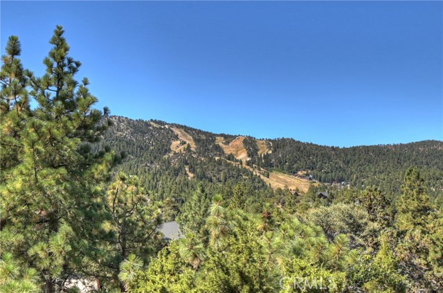 Detail Gallery Image 35 of 46 For 43659 Wolf Rd, Big Bear Lake,  CA 92315 - 4 Beds | 2 Baths