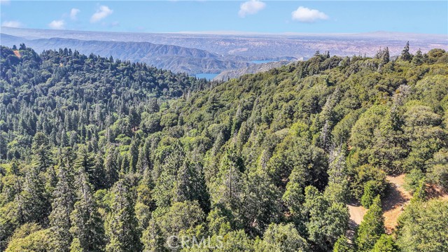 0 Mojave River Road, Cedarpines Park CA: https://media.crmls.org/medias/17f9f5b3-1dfb-420b-bffb-caf0b7d7d43d.jpg