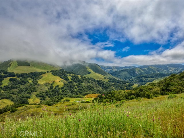 Detail Gallery Image 68 of 70 For 7515 Santa Rosa Creek Rd, Cambria,  CA 93428 - 2 Beds | 1 Baths