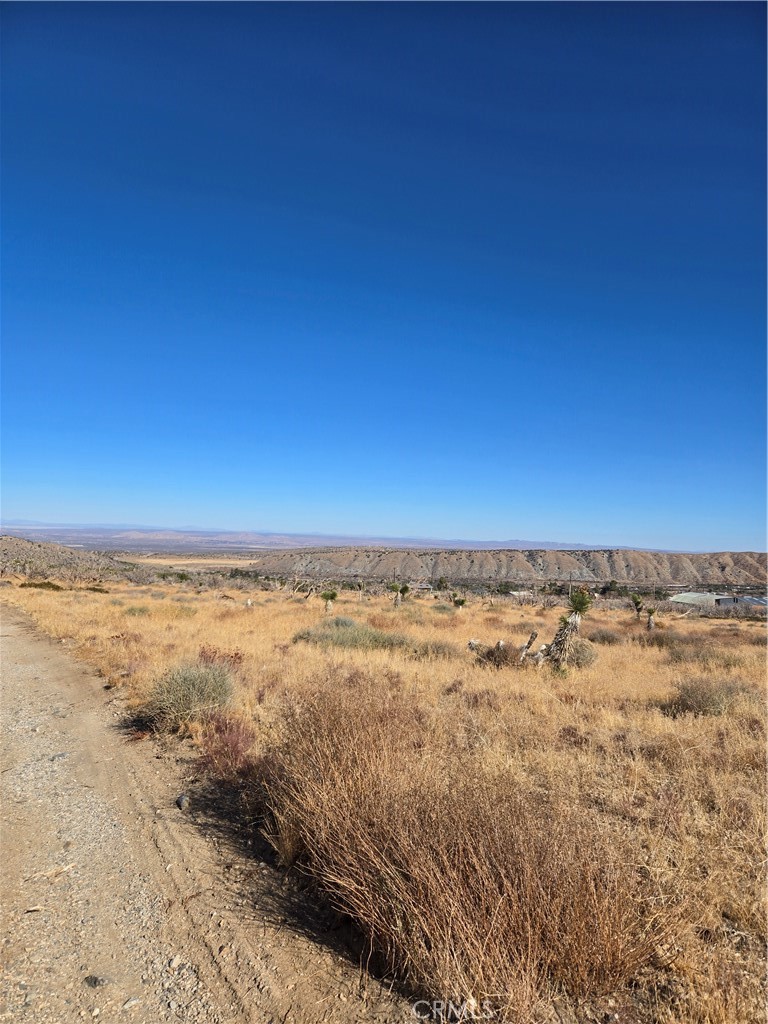 MLS #IG25037440 img 5