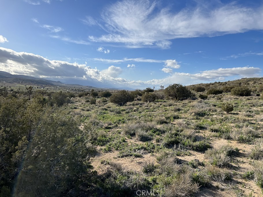 MLS #SR25254609 image #8