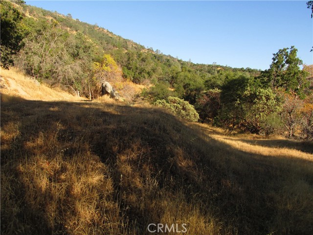 Detail Gallery Image 44 of 54 For 2 Ac Old Oaks Ct, North Fork,  CA 93643 - – Beds | – Baths
