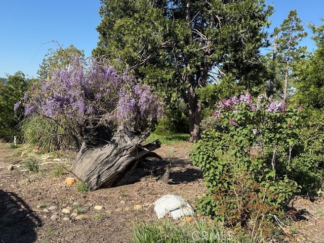Detail Gallery Image 52 of 67 For 39468 Summit Dr, Oakhurst,  CA 93644 - 4 Beds | 3 Baths