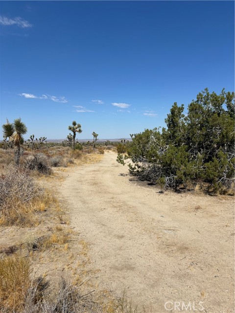 Detail Gallery Image 2 of 16 For 0 Avenue X, Llano,  CA 93544 - – Beds | – Baths