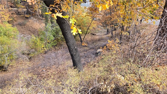 Detail Gallery Image 9 of 19 For 1000 Butte Ave, –,  CA 92314 - – Beds | – Baths