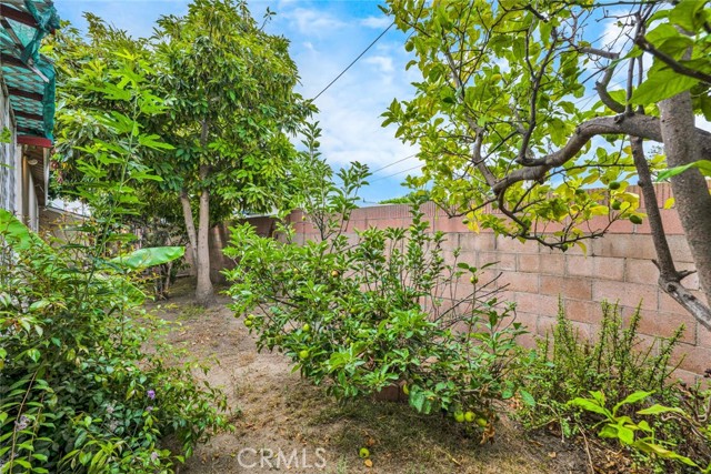 Detail Gallery Image 36 of 37 For 7911 Rockwell Ave, Midway City,  CA 92655 - 3 Beds | 2 Baths