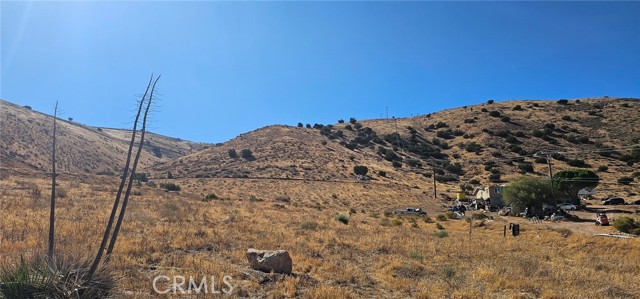 MLS #SR25202411 image #7