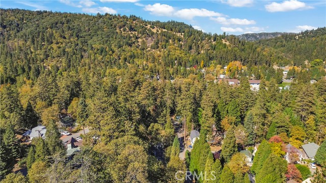 Detail Gallery Image 25 of 32 For 22789 Laurel Ln, Crestline,  CA 92325 - 1 Beds | 2 Baths