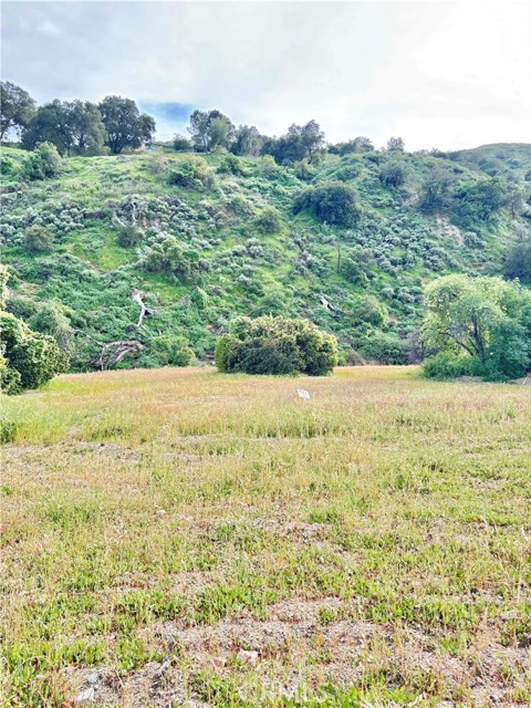 Detail Gallery Image 4 of 7 For 0 San Martinez Rd, Val Verde,  CA 91384 - – Beds | – Baths