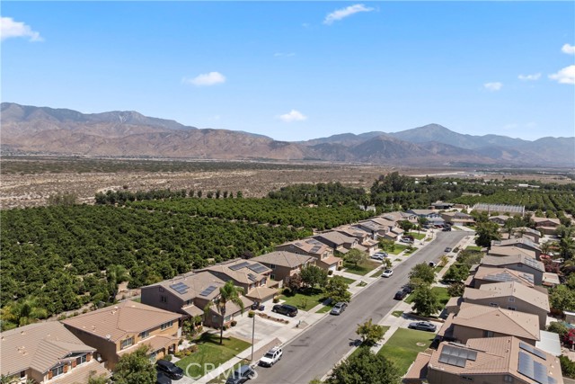 Detail Gallery Image 46 of 46 For 1107 Alexis Ln, Redlands,  CA 92374 - 4 Beds | 2/1 Baths