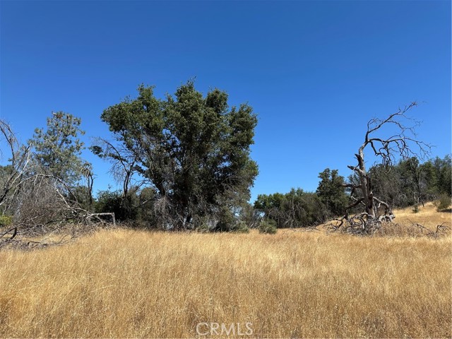3896 B State Highway 140, Mariposa CA: https://media.crmls.org/medias/18268960-cbb5-41e9-bd89-0598197b2639.jpg