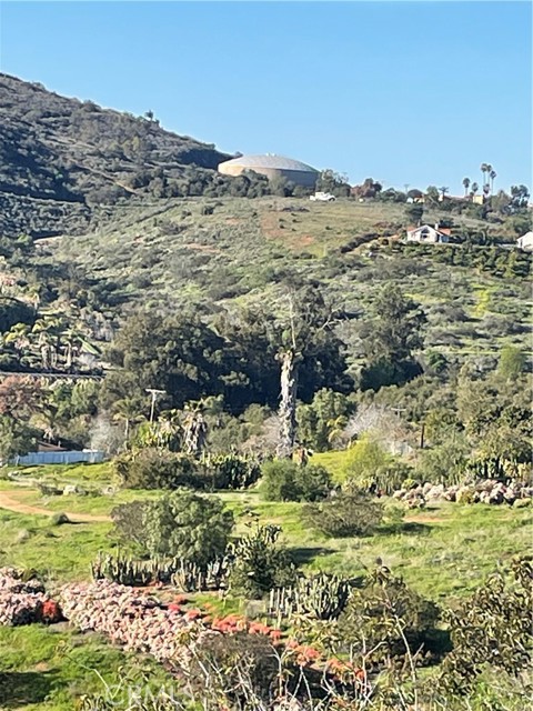 1624 Siddall Drive, Vista CA: https://media.crmls.org/medias/18271602-3298-431b-addf-8d192d2b95e5.jpg