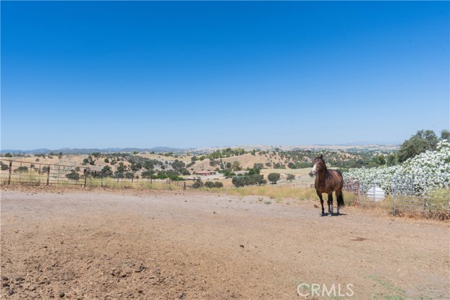 Detail Gallery Image 31 of 45 For 3595 Stage Springs Rd, Creston,  CA 93432 - 5 Beds | 4 Baths