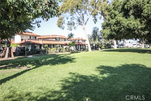 Front Image Thumbnail for CROC25263436