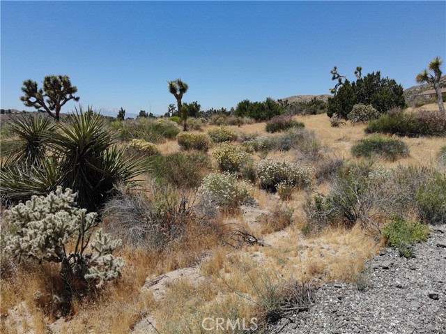 Detail Gallery Image 8 of 33 For 0 Yucca Trail, Yucca Valley,  CA 92284 - – Beds | – Baths