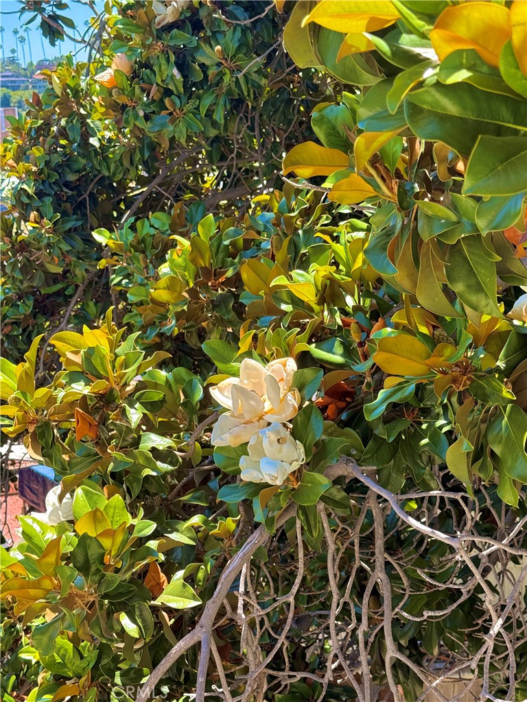 https://media.crmls.org/medias/183c70b2-6b17-4ca6-99d9-495868a4ad21.jpg?preset=X-Large