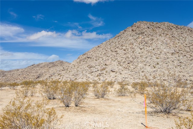 4900 Nucham Avenue, Joshua Tree, California 92252, ,Land,For Sale,4900 Nucham Avenue,CRJT22138795