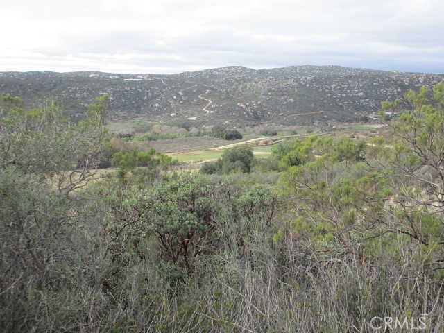 38750 Reed Valley Road