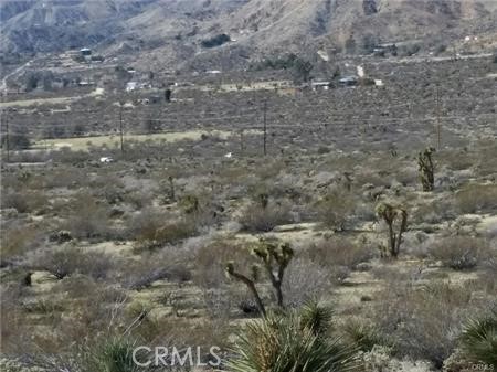 Detail Gallery Image 11 of 11 For 0 29 Palms Highway, Morongo Valley,  CA 92256 - – Beds | – Baths