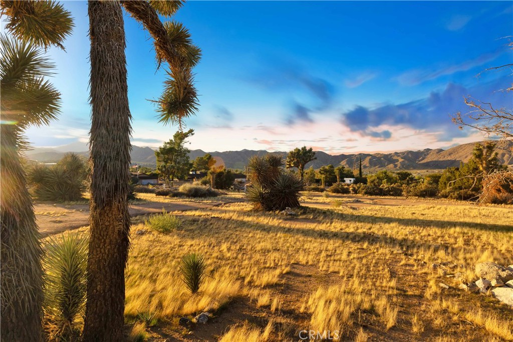 https://media.crmls.org/medias/184c4a82-6df7-4a79-ac73-5cb21e5d3d01.jpg?preset=X-Large