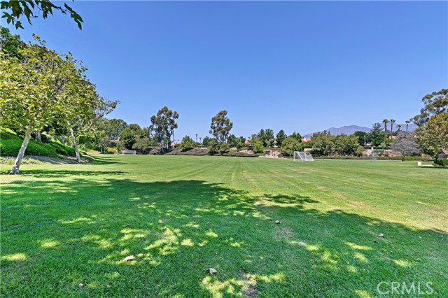 Image 39 of 52 For 28782 Bolanos