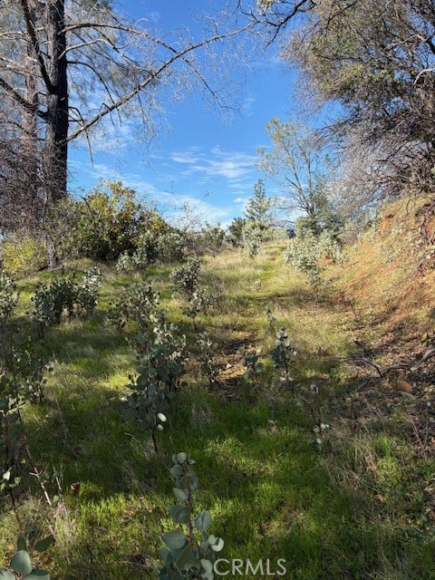 Detail Gallery Image 27 of 34 For 8870 Oro Quincy, Berry Creek,  CA 95916 - – Beds | – Baths