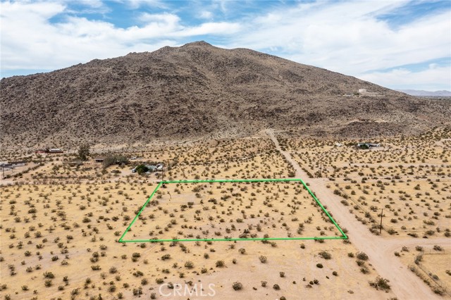 4225 Benji Avenue, Joshua Tree, California 92252, ,Land,For Sale,4225 Benji Avenue,CRJT23182225