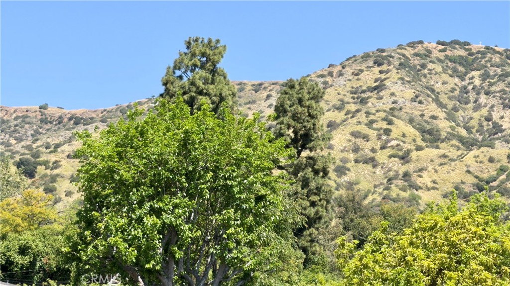 MLS #SW26037346 image #47