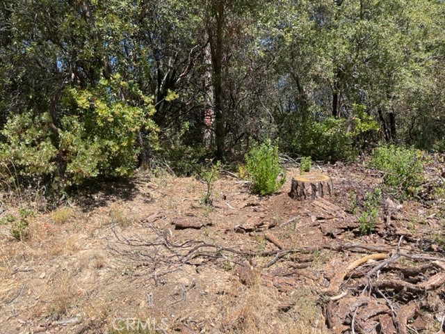 10 Broken Springs Road, Oroville, CA, 95966 10 Broken Springs Road, Oroville, CA, 95966